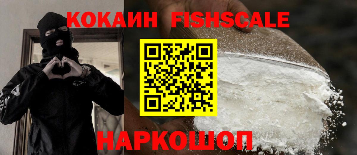 Кокаин FishScale  COCAIN Боливия  Вход с VPN  Заводоуковск 