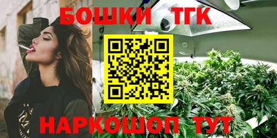 тгк Бийск