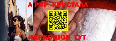тгк Бийск