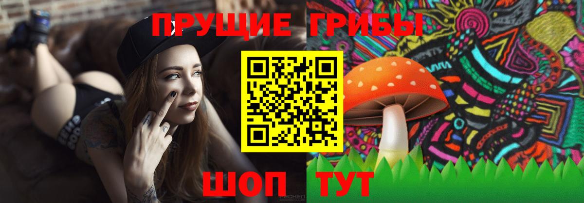 Галлюциногенные грибы Magic Shrooms  Вход с VPN  Галлюциногенные грибы мухоморы  Заводоуковск 